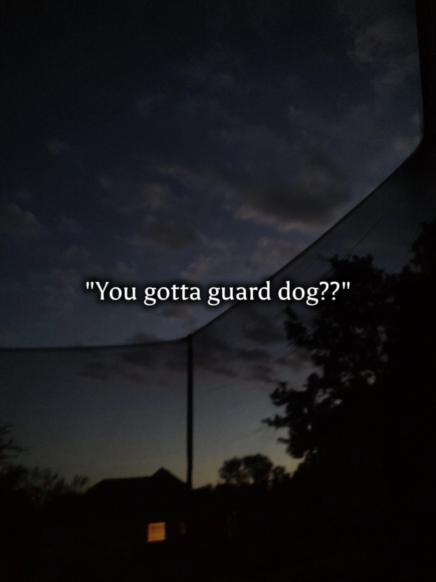 Wachhund!