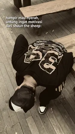 veris shaun the shep