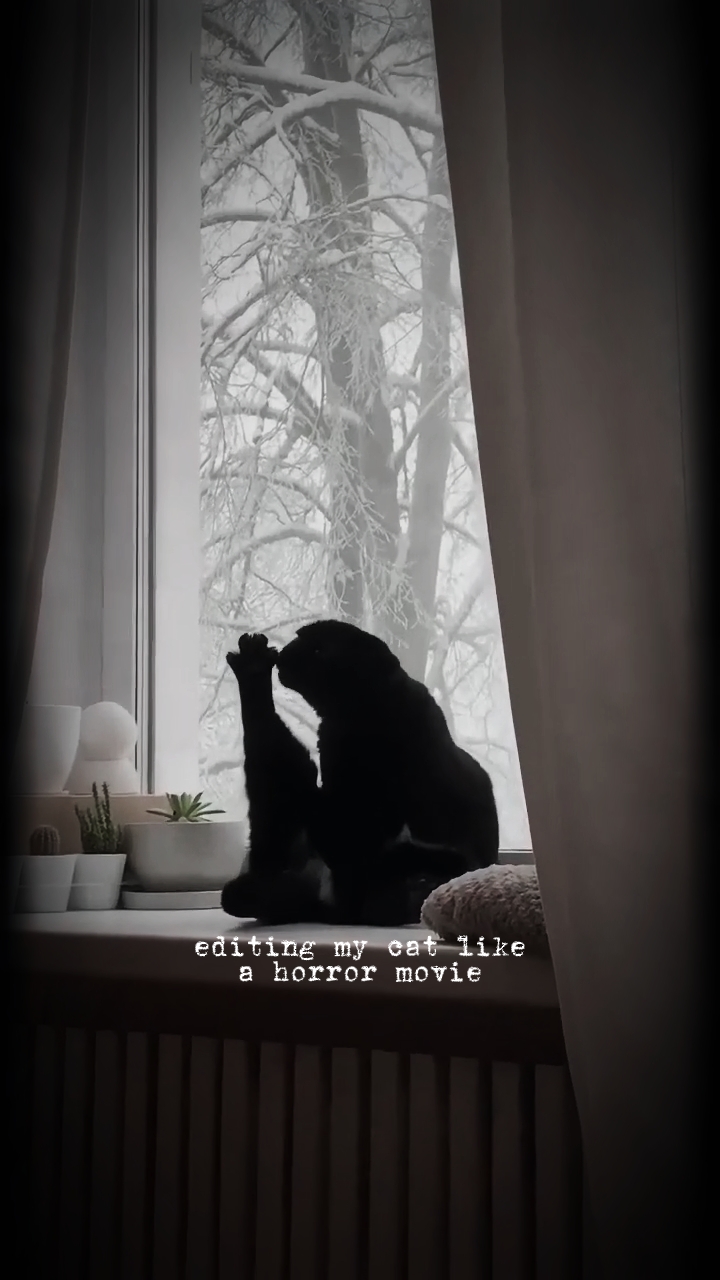 horror cat edit