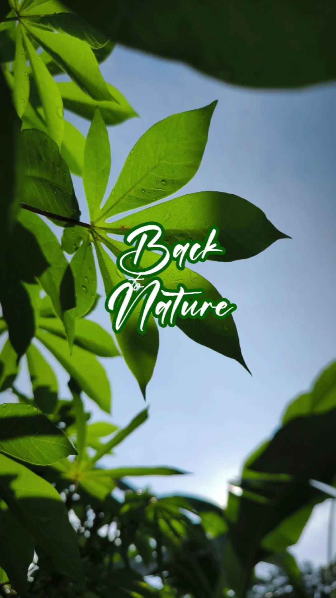 Back To Nature