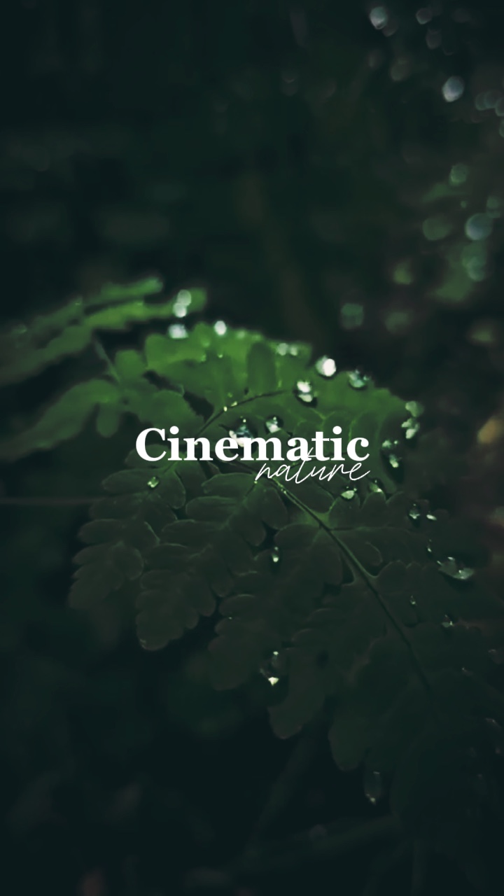 Vibrações cinematográficas❤️