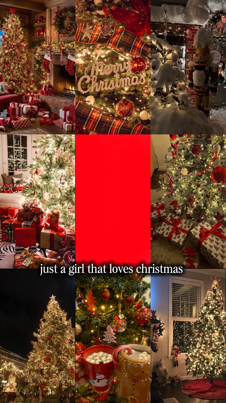 Girl loves christmas