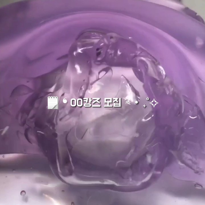 00캉즈 모집 