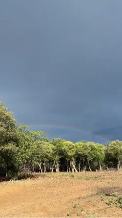🌈🌱
