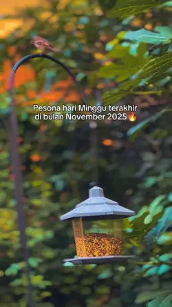 Pesona minggu terakh