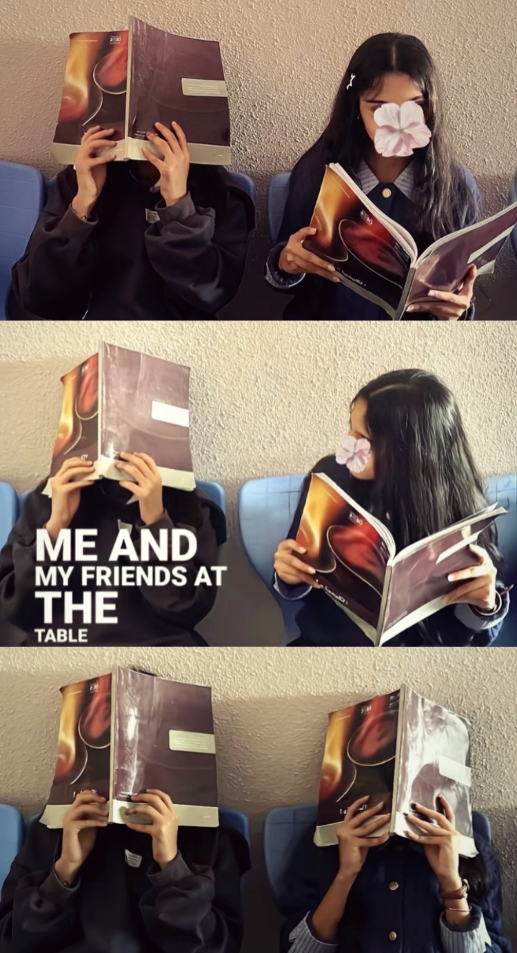 Mis amigos y yo 