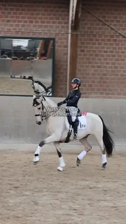 HALB DRESSURTUSSI 🎀🙂↕️