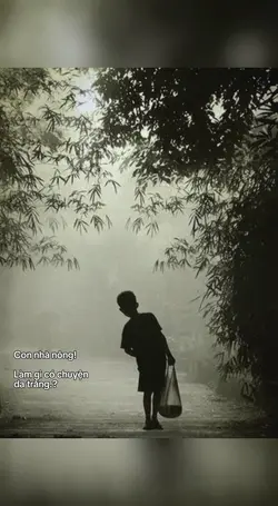 mẫu 1 ảnh caption