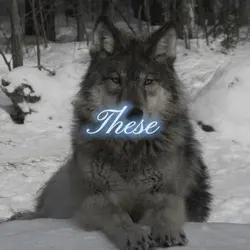 when I die
