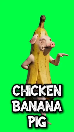 CHICKEN BANANA PIG