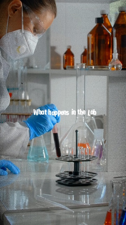 In the Lab 