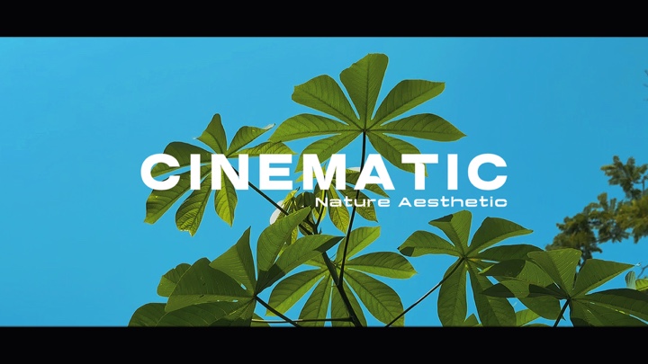 Natureza Cinematográfica HD