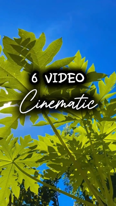 6 Video filmisch