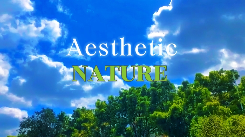 144p to 4k nature