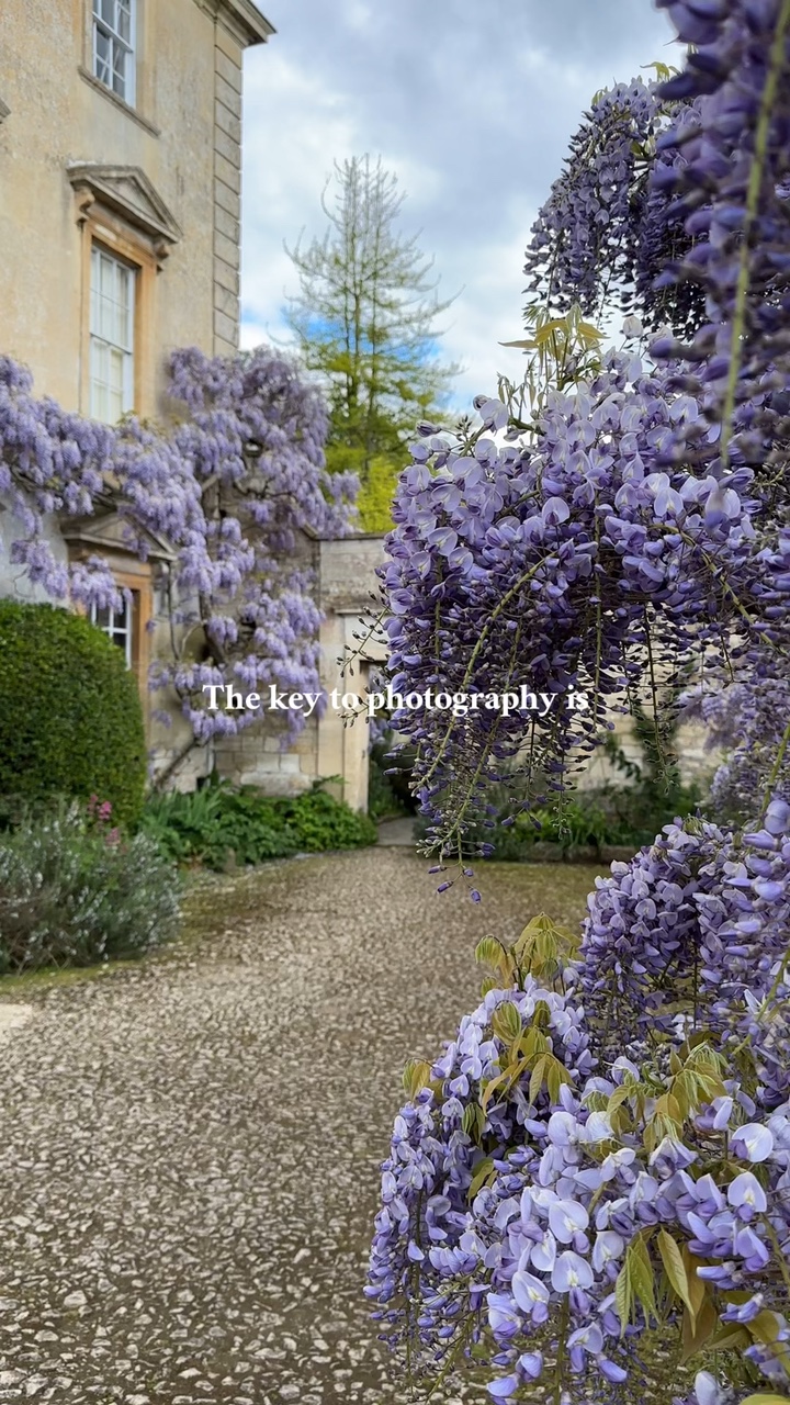 Prenez des photos. 