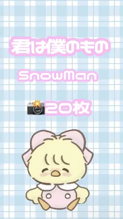 君は僕のもの 20枚