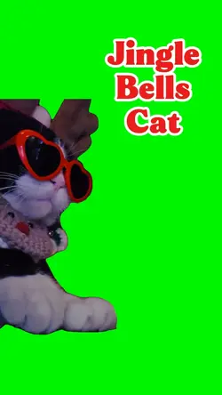 Jingle Cat