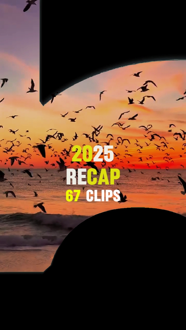 67 Clips, Resumen de 2025