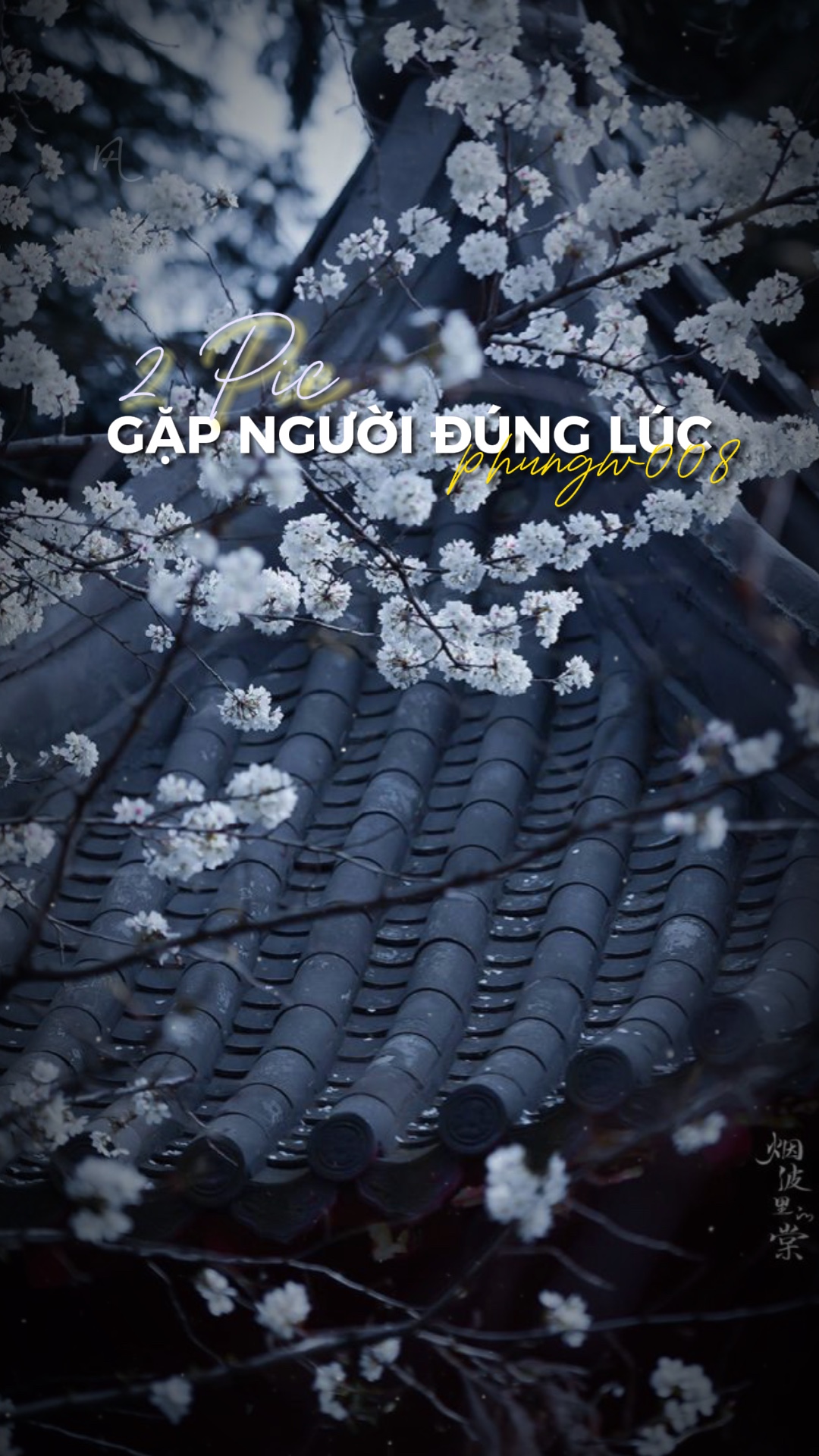 Nhẹ Nhàng 2 Ảnh