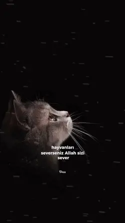 Hayvanları Sevin