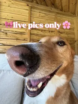 Live pics only!πΈ
