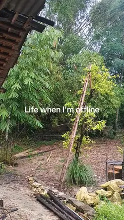 kehidupan offline