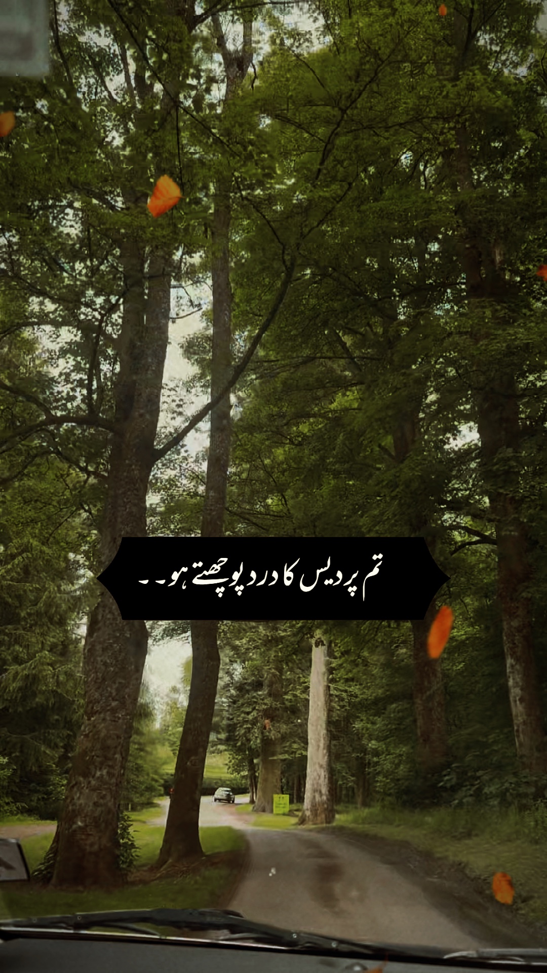 Poetry 