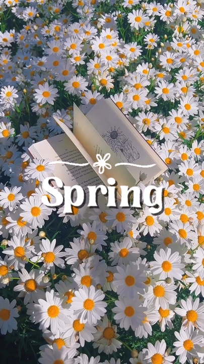 Frühling Schönheit 