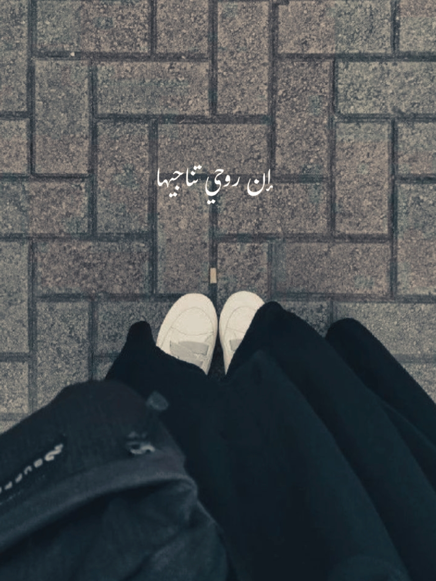 Wildlofer x Arab