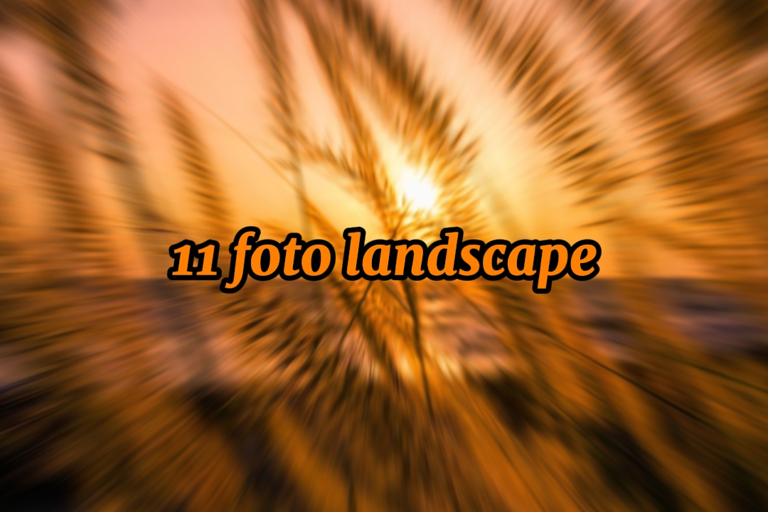 11 photos de paysage


