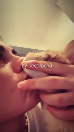cute cat