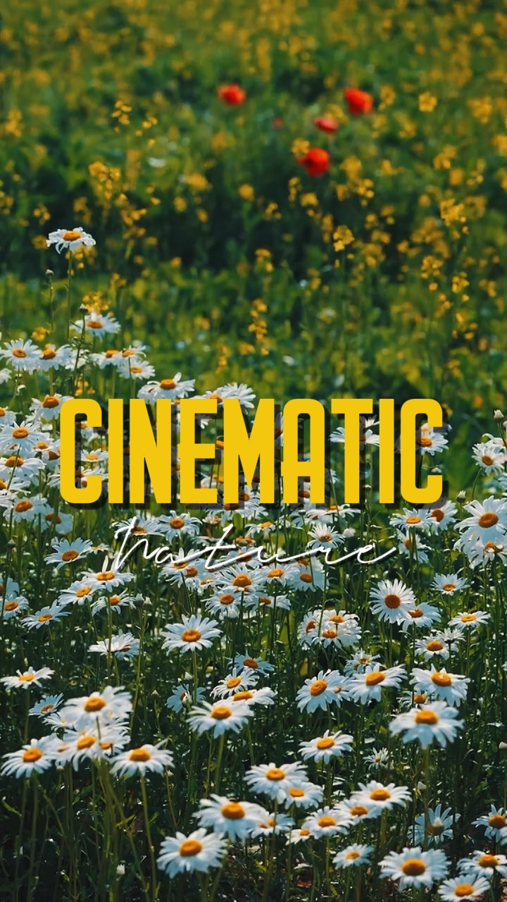 CINEMATIC VIDEO 