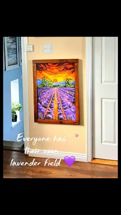 A lavender field