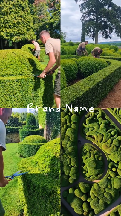 Jardinería