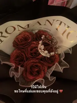 หนึ่งปีมีให้เห็น