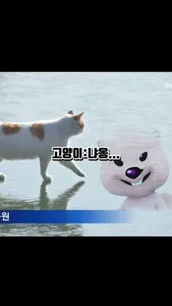 꽁꽁 얼어붙은 한강위로 고양이가 폭발