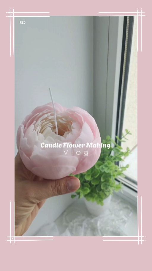 Candle Flower Vlog
