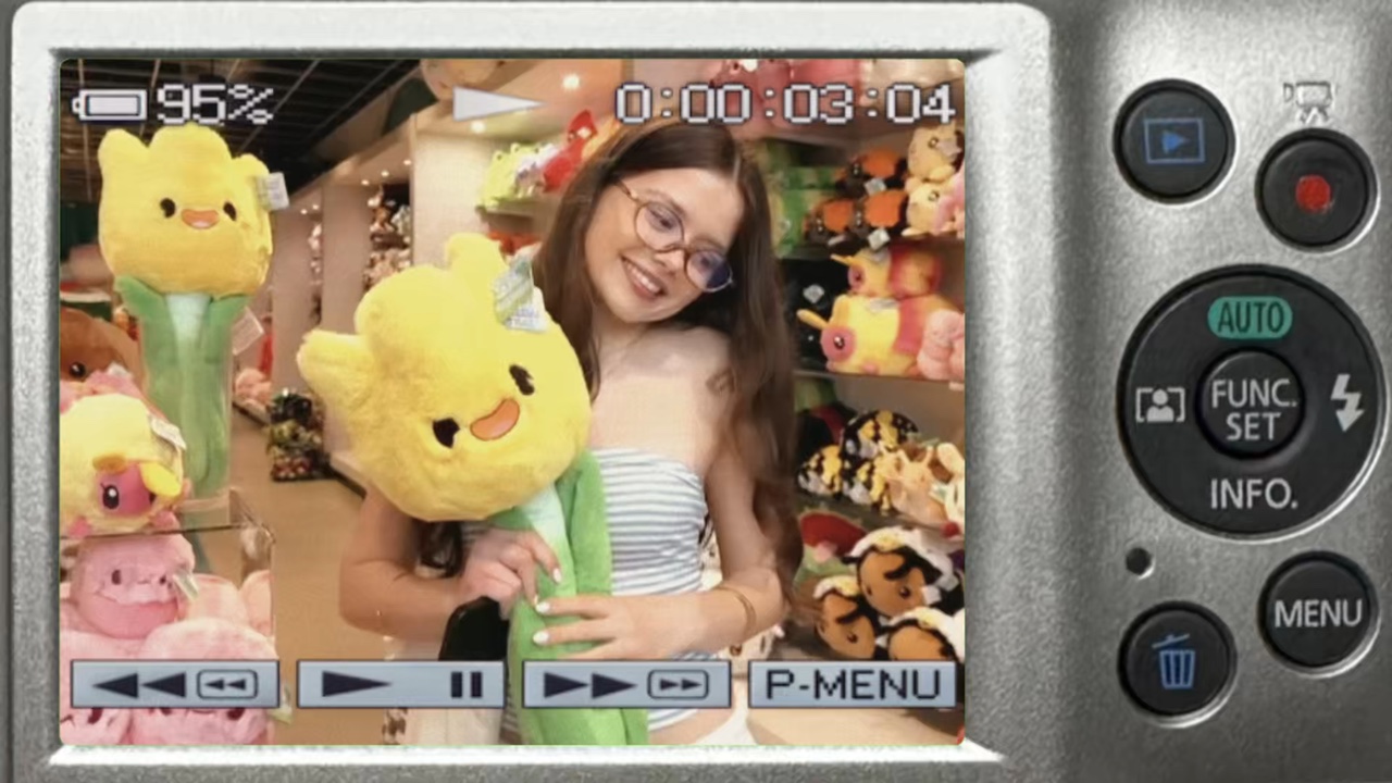digicam