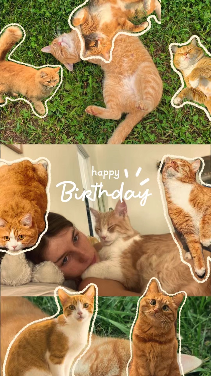 Aniversário meu gato