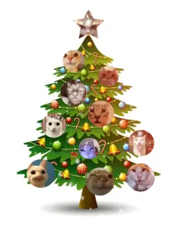 Christmas tree 11pic