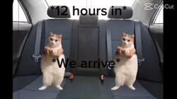Road trip part two