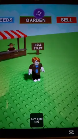 Roblox