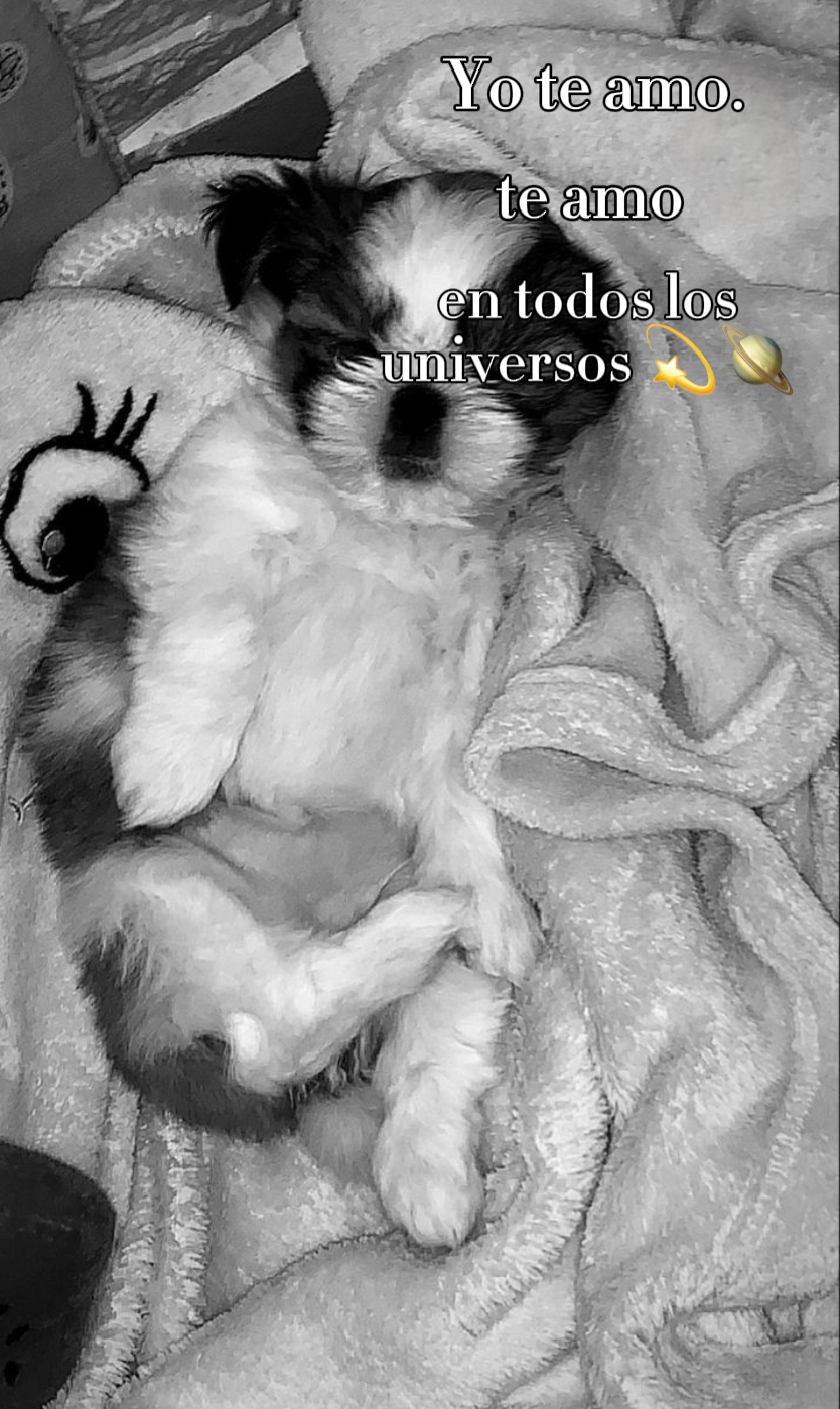 Yo te amo...