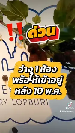 ห้องเช่าฟิลบ้านสวน ลพบุรี