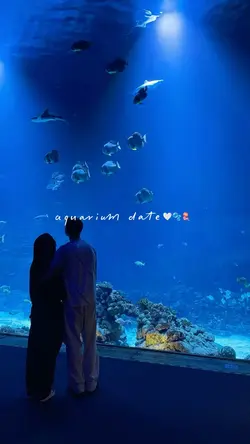 aquarium date