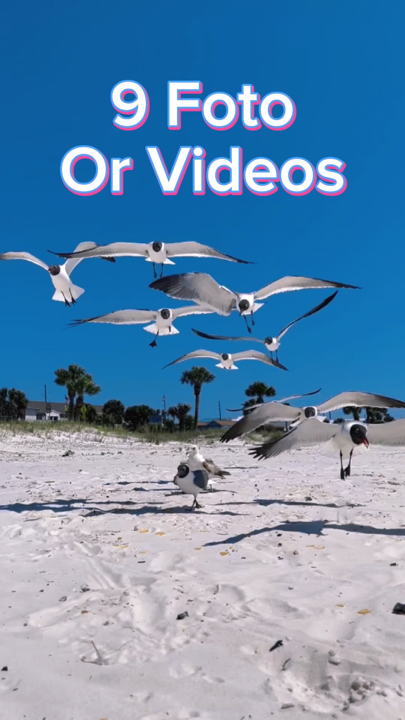 9 diapositive vidéo