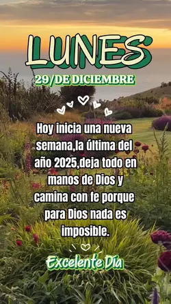 Buenos Días Frases 