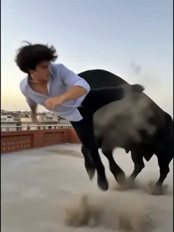 BULL
