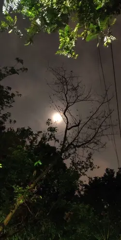 talking to the moon