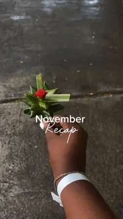 November recap 